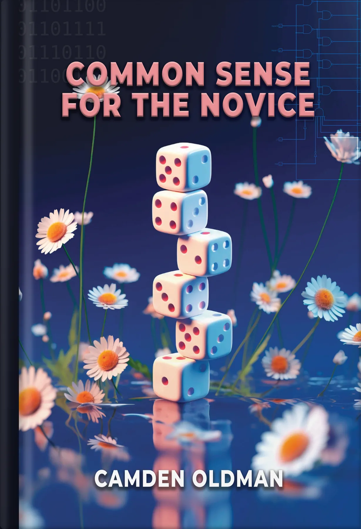 Common Sense For The Novice by Publishing Orbit